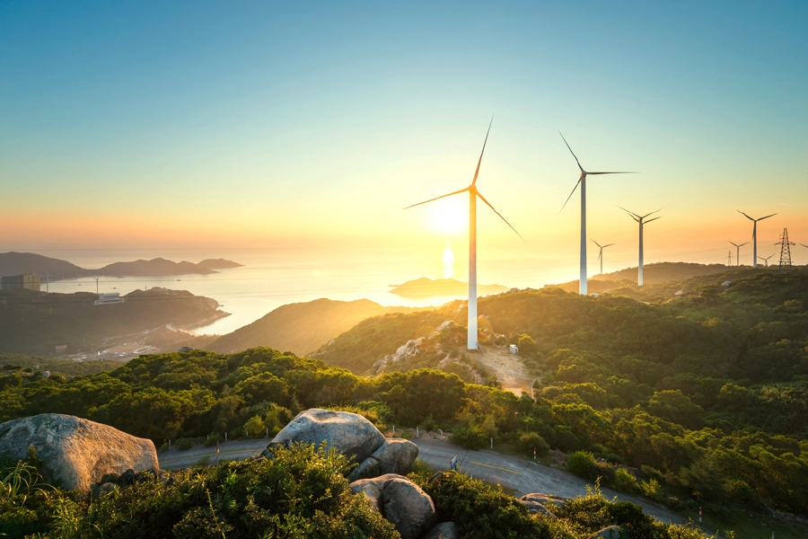Energy transition policies, these policies often include incentives for renewable energy adoptions…
